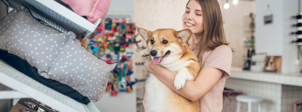 PawShop Guide For First Time Dog Owners