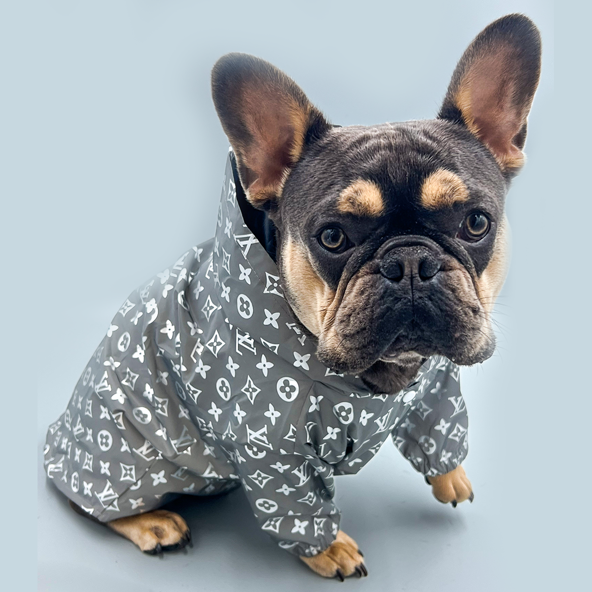 Chewy V Dog Raincoat - The Supreme Paw Supply
