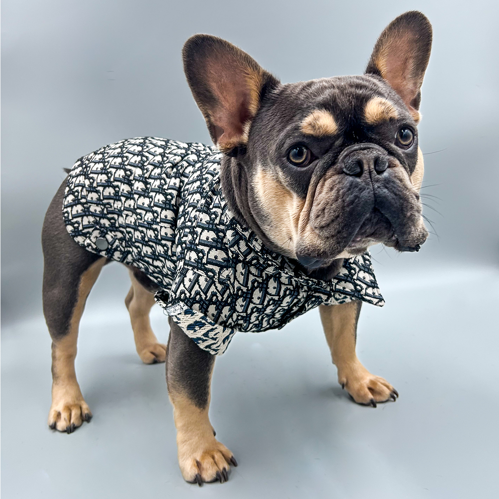 PawShop best Dog Coats