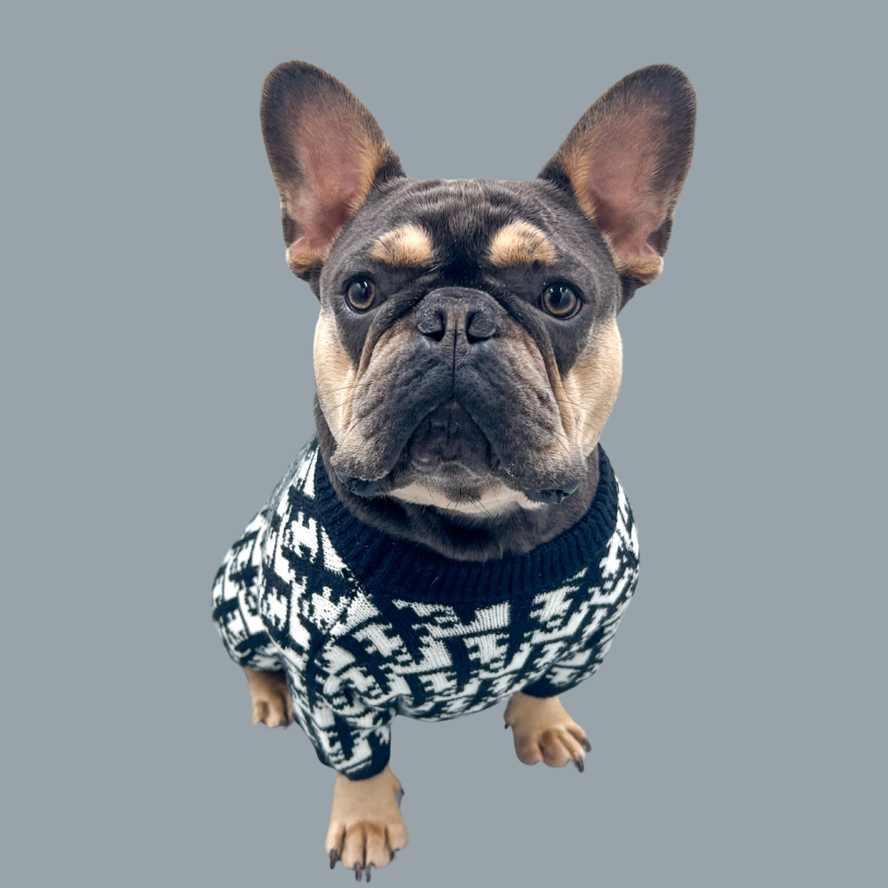 PawShop Sweater For Dogs