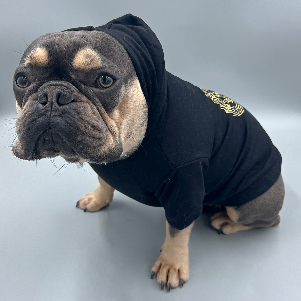 PawShop Pawsace Hoodie For Dogs